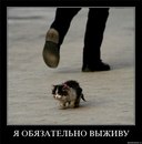 Віка Бугай фотография #37 (источник - https://vk.com/id148151365)