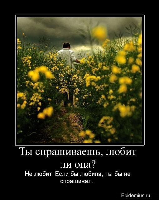 Игорь Будник фотография #19
