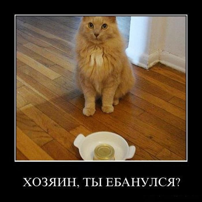 Игорь Будник фотография #12
