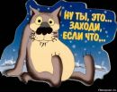 Ігор Мостовий фотография #16 (источник - https://vk.com/id134376869)