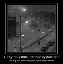 Дмитрий Винник фотография #13 (источник - https://vk.com/id26933235)