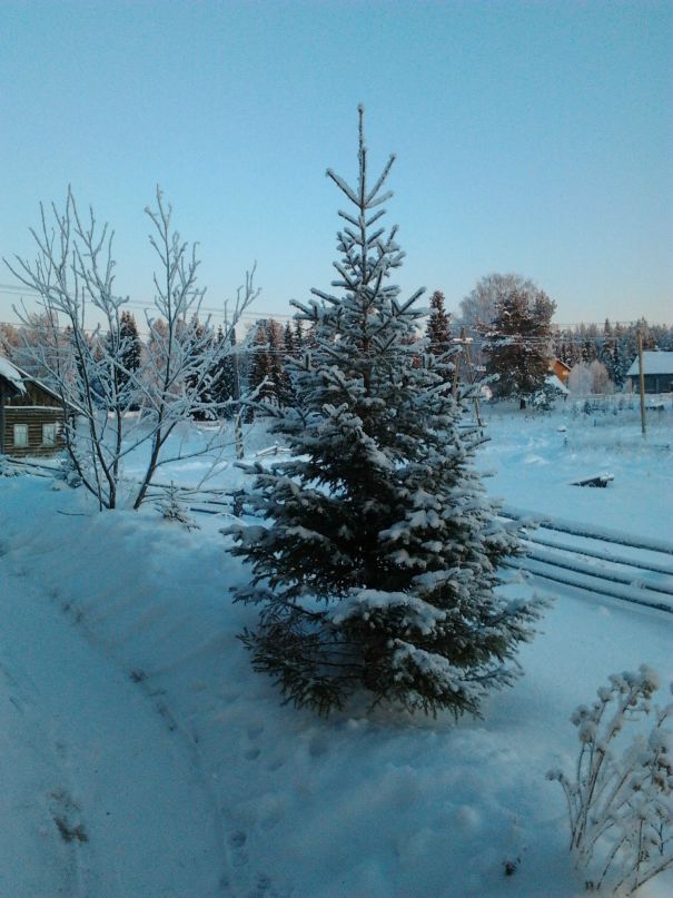 Даниил Марков фотография #47
