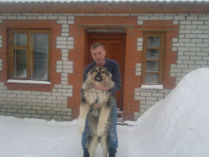Сергей Алешкин фотография #23