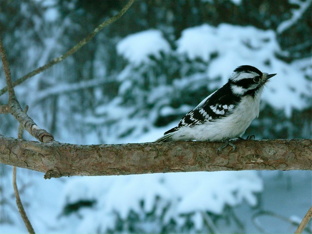 Валерия Ли фотография #31