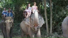 Анна Матвеенко фотография #32 (источник - https://vk.com/id982526)