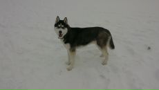 Фотография Колосовой Веры