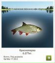Міша Гладчук фотография #3 (источник - https://vk.com/id152657190)