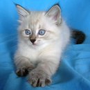 Наталія Опанасюк фотография #1