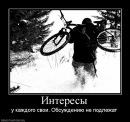 Фотография Арнаута Александра