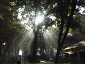 Фотография Босси-Канцевой Светланы