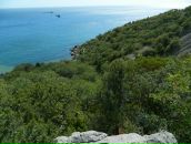 Віктор Копінський фотография #11 (источник - https://vk.com/id10115601)