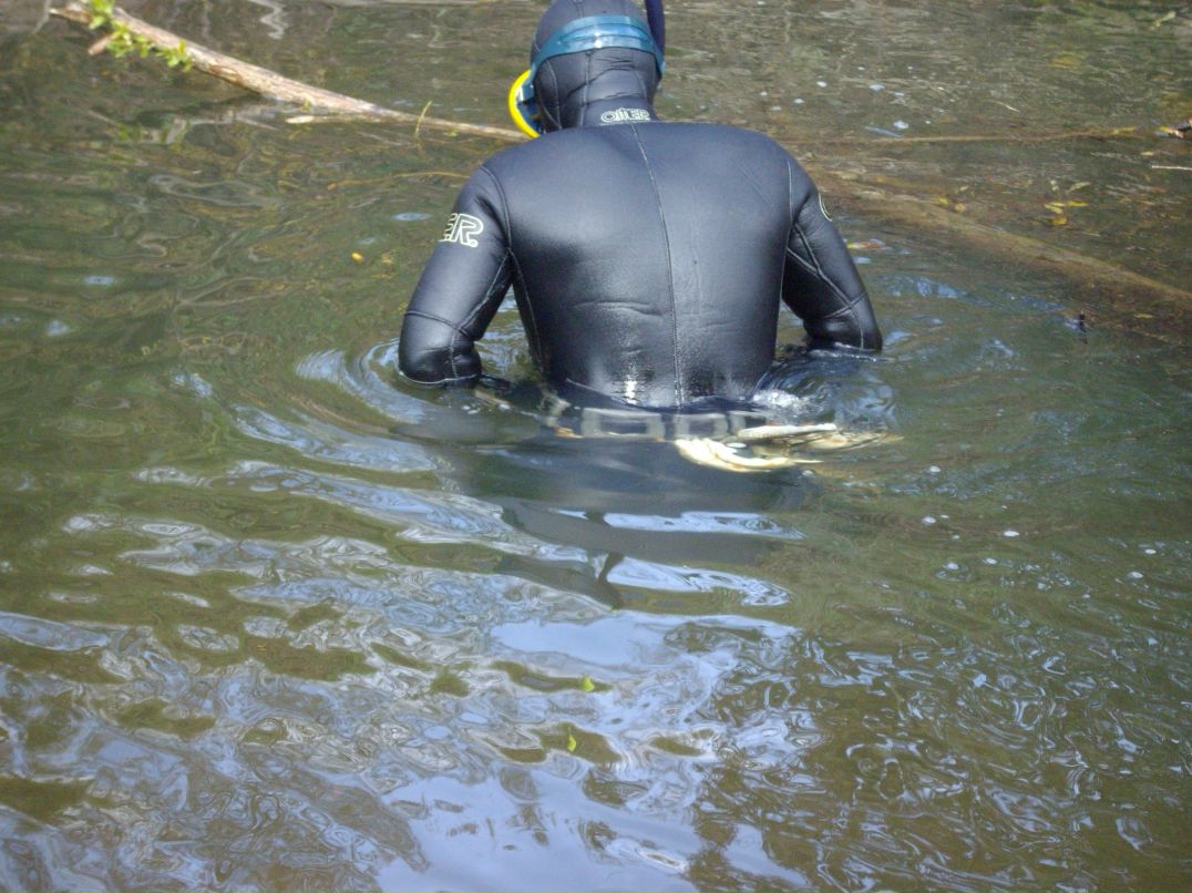 Игорь Воловников фотография #33