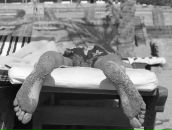 Андрей Касьянов фотография #14 (источник - https://vk.com/id520163)