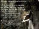 Машка Шімон фотография #49 (источник - https://vk.com/id41746374)