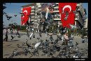 Turgut Eldemir фотография #30 (источник - https://vk.com/id44362136)