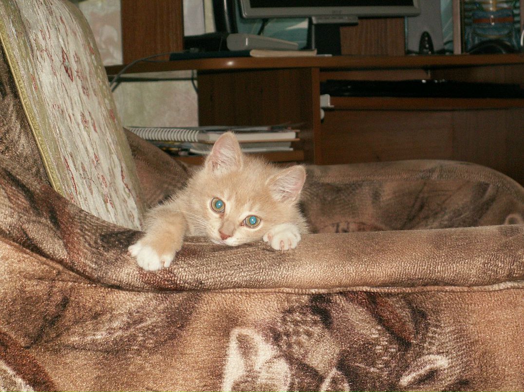 Дмитрий Бородулин фотография #10