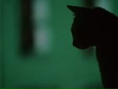 Фотография Мусабековой Галии