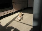 Uvb_ Msk фотография #16 (источник - https://vk.com/id141004248)