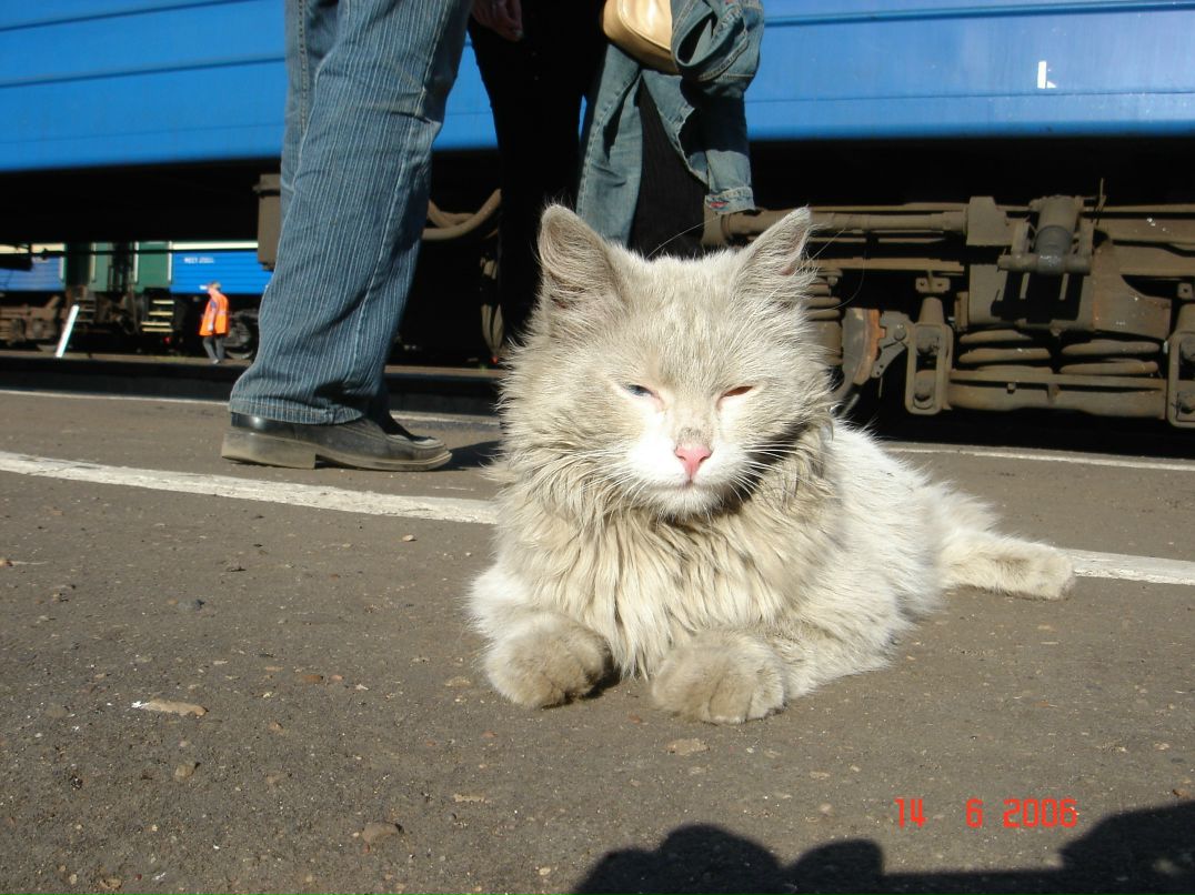 Константин Костин фотография #20