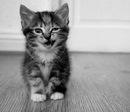 Фотография Танюша ^_^
