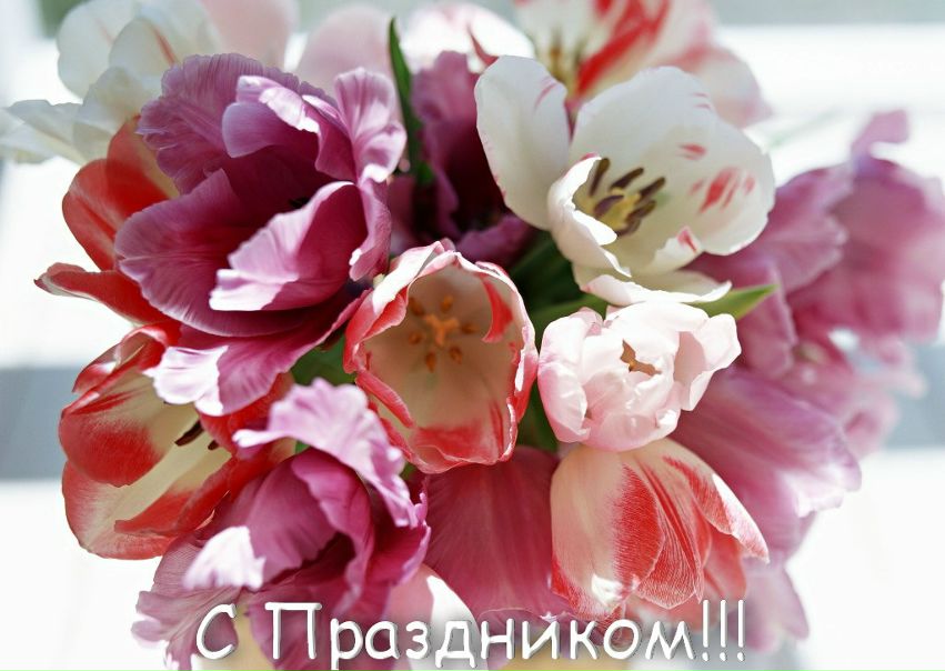 №12, Анюта Трофимова, 46 лет, Санкт-Петербург №12, Анюта Трофимова, 46 лет, Санкт-Петербург