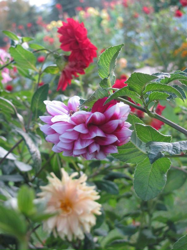 Сергей Царёв фотография #13