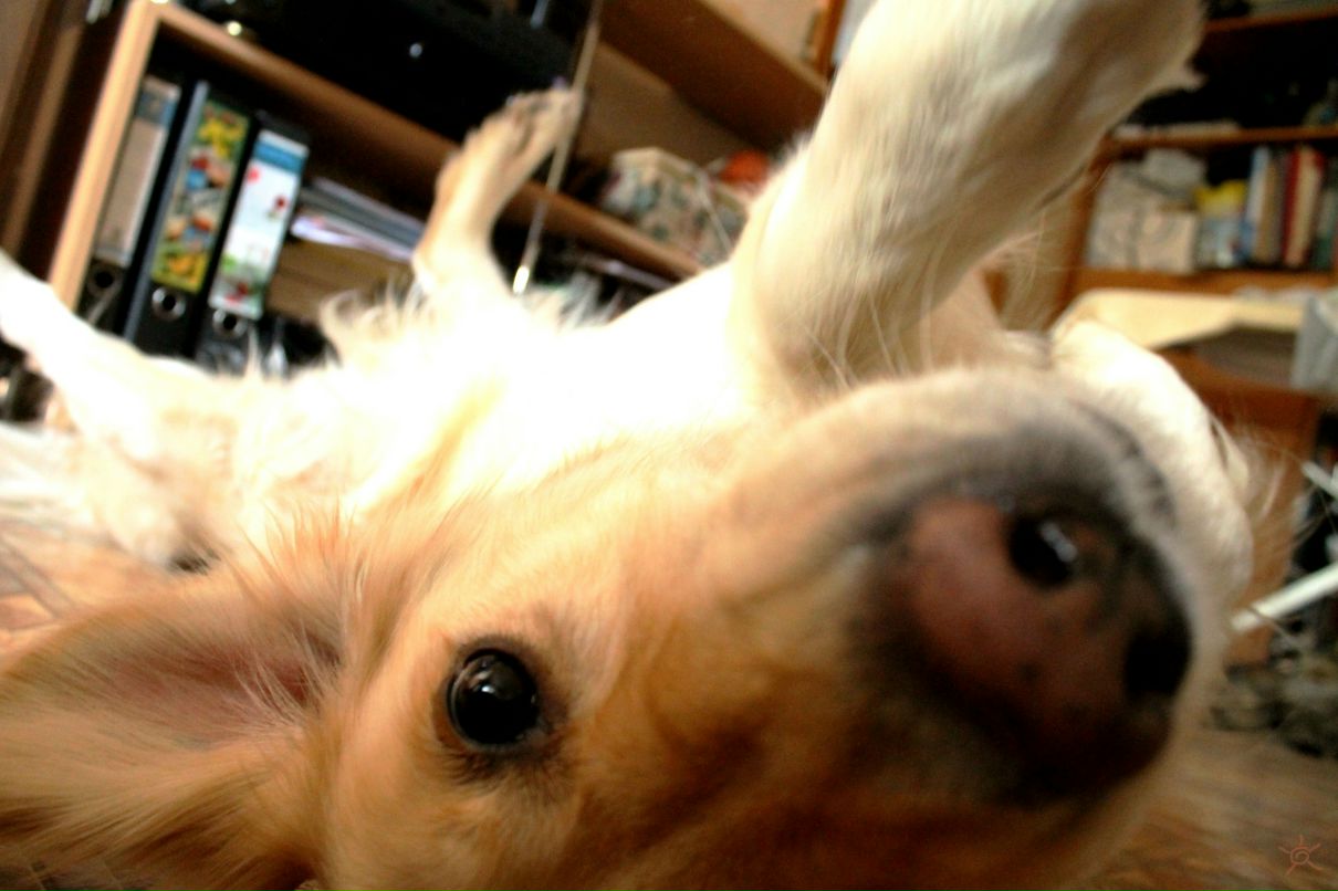 Илья Черников фотография #14