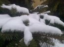 Андрій Лиховський фотография #24 (источник - https://vk.com/id57326271)
