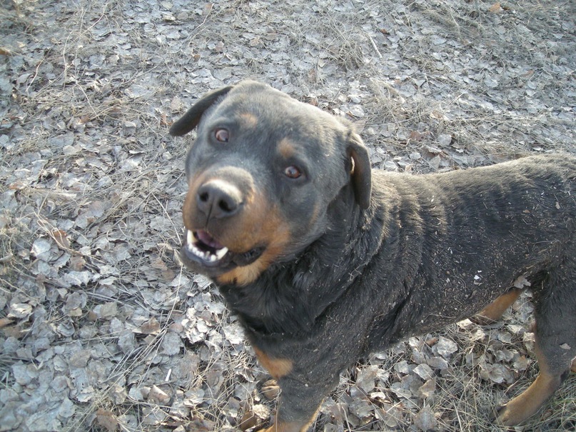 Дмитрий Маркеев фотография #31