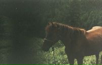 My Flight фотография #28 (источник - https://vk.com/id78839014)