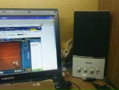 Фотография Багузовой Марины