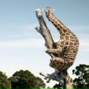 Фотография Солоненкова Андрея