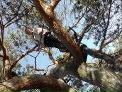 Ліля Осмачко фотография #24 (источник - https://vk.com/id64763085)