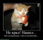 Фотография Bondareva Evgenia