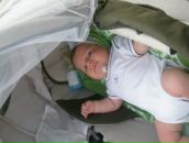 Теодор Сапій фотография #6 (источник - https://vk.com/id79362454)