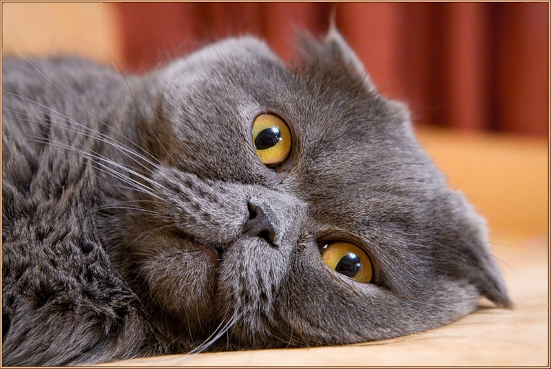 Виктор Привалов фотография #12