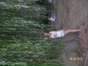 Фотография Князевой Татьяны