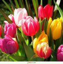 Фотография Антошкиной Елены