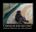 Дмитрий Копейкин фотография #19 (источник - https://vk.com/id318059)