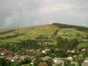 Вікуська Вайдич фотография #1
