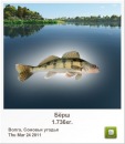 Андрій Волинець фотография #27 (источник - https://vk.com/id87529096)