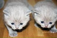 Фотография Хамитовой Татьяны