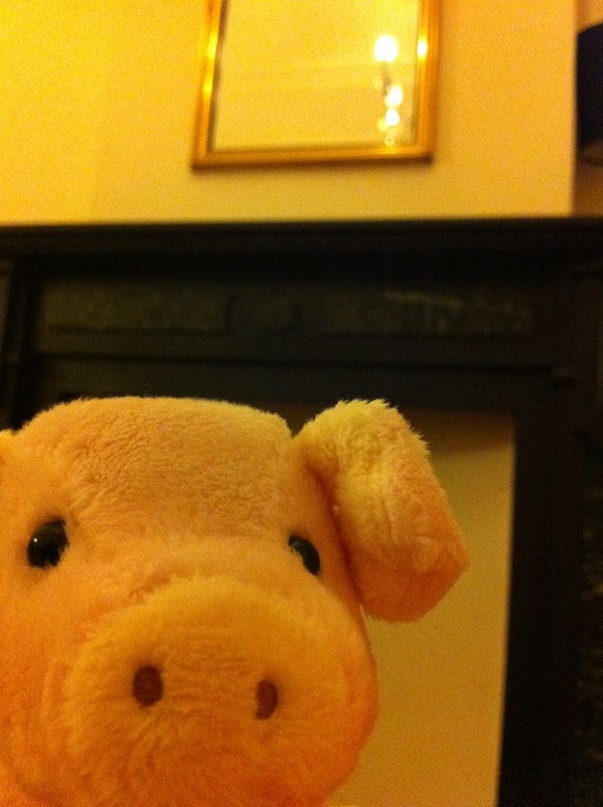 Эльдар Марков фотография #10