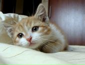 Фотография Весиной Виктории