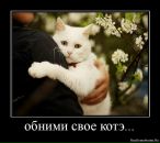 Фотография Захаровой Анны