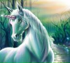 Фотография Сахаровой Светланы