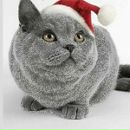 Фотография Глущенко Людмилы