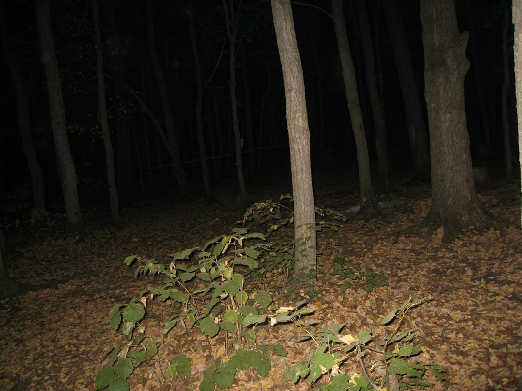 Rope Jumping фотография #6