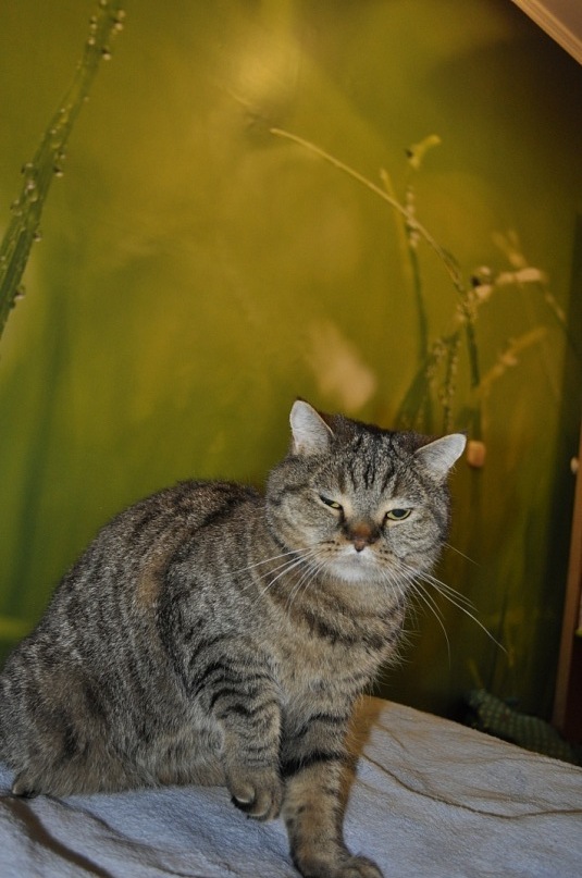 Гребанный Герой фотография #6