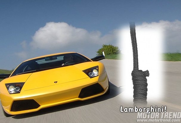 Dark Stranger фотография #38